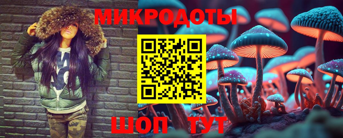 Псилоцибиновые грибы Cubensis Глазов