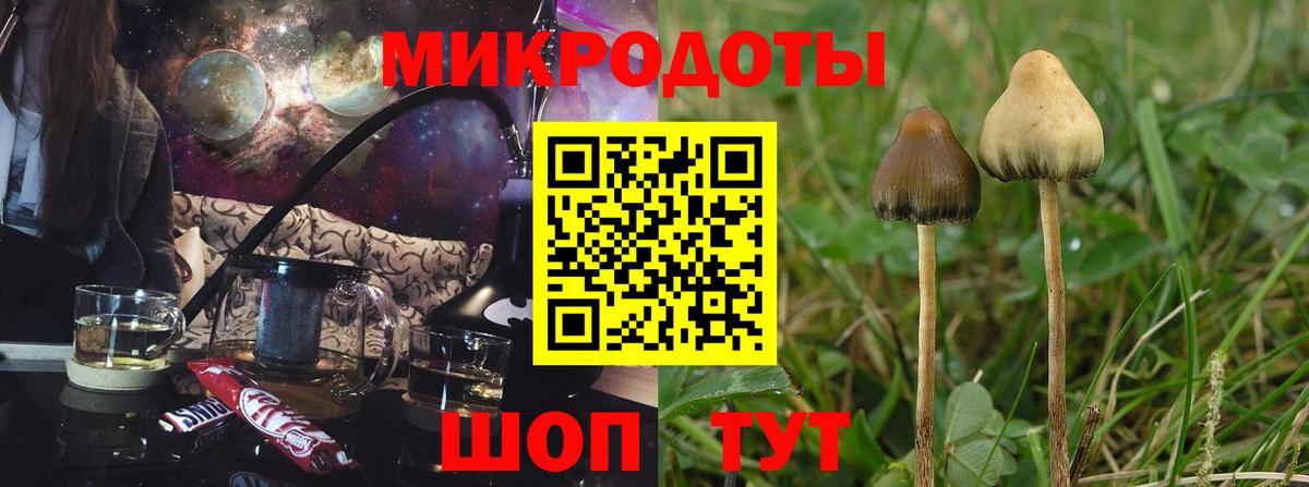Псилоцибиновые грибы Cubensis  магазин продажи наркотиков  Глазов  Вход с VPN 